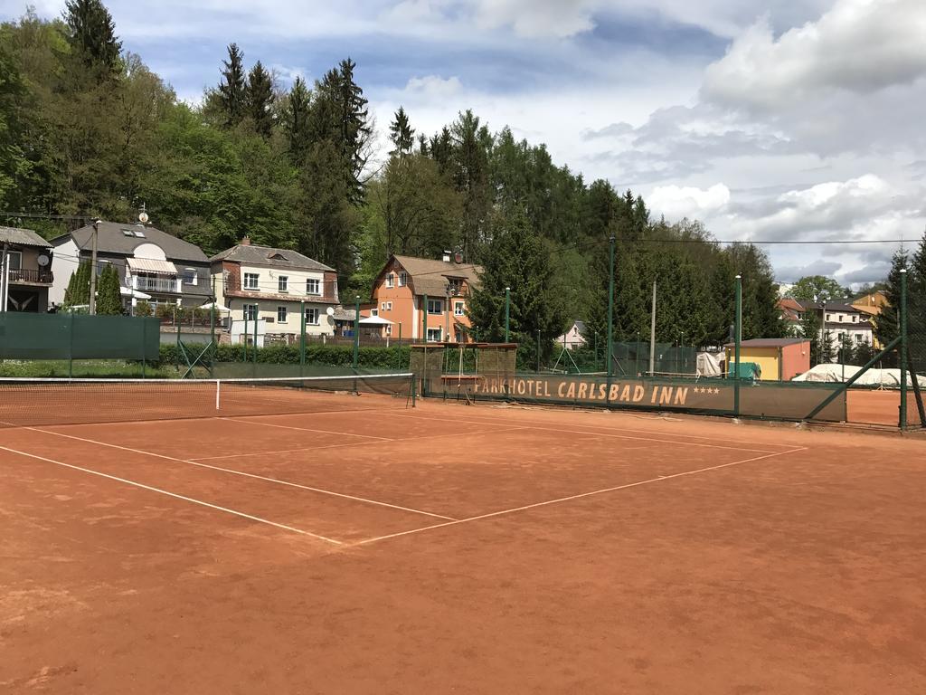 Parkhotel Carlsbad Inn Dalovice Kültér fotó