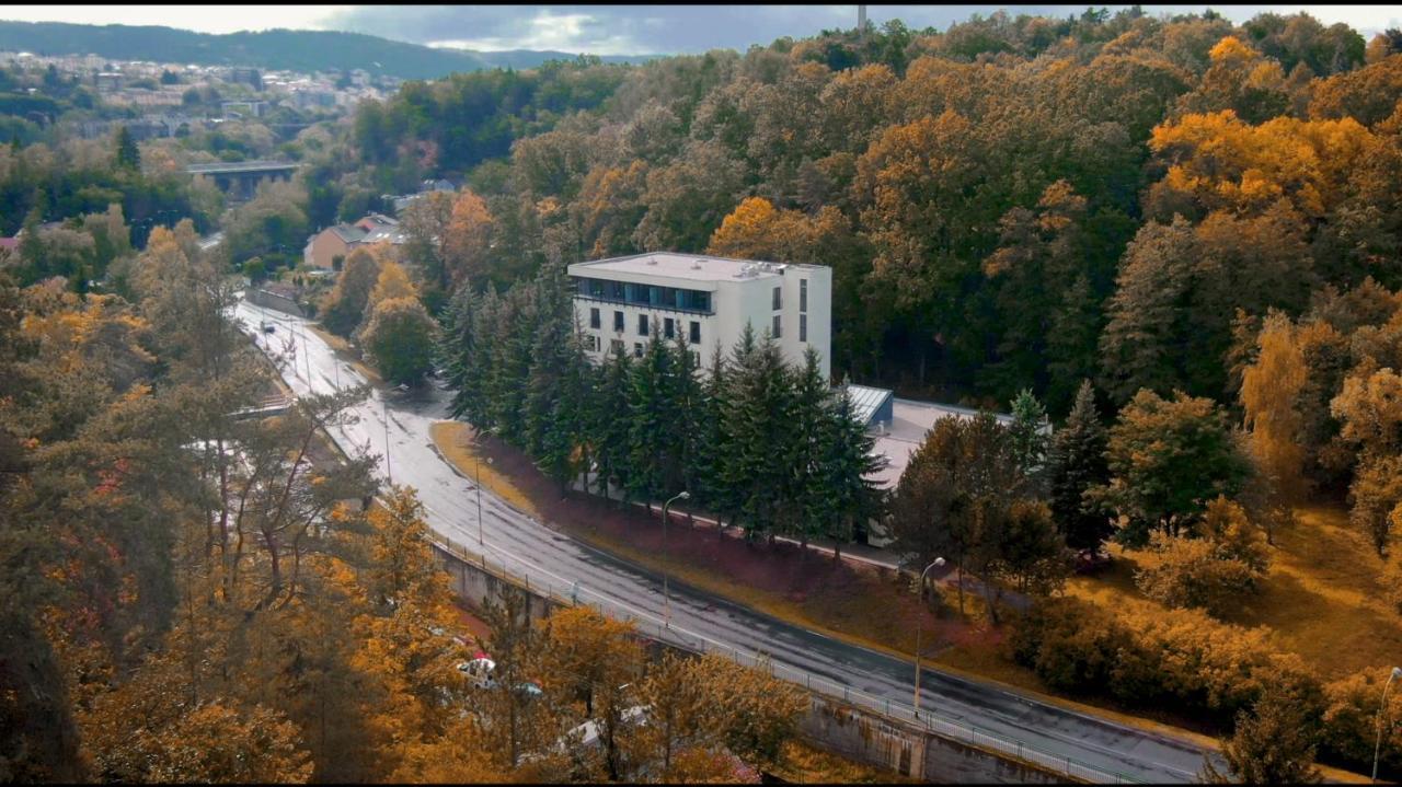 Parkhotel Carlsbad Inn Dalovice Kültér fotó